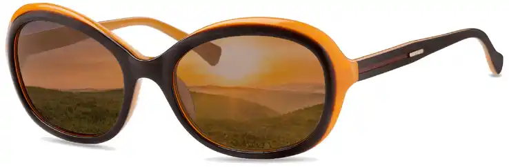 Nahaufnahme einer Sonnenbrille mit getönten Gläsern