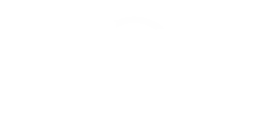 mini-logo